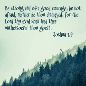 Joshua 1 9