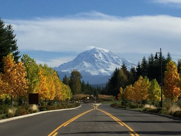 thumbnail_Teheleahphoto