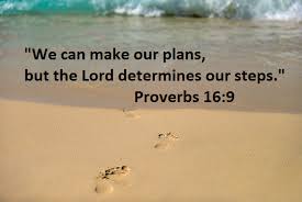god directs his steps