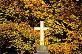 fall foliage cross